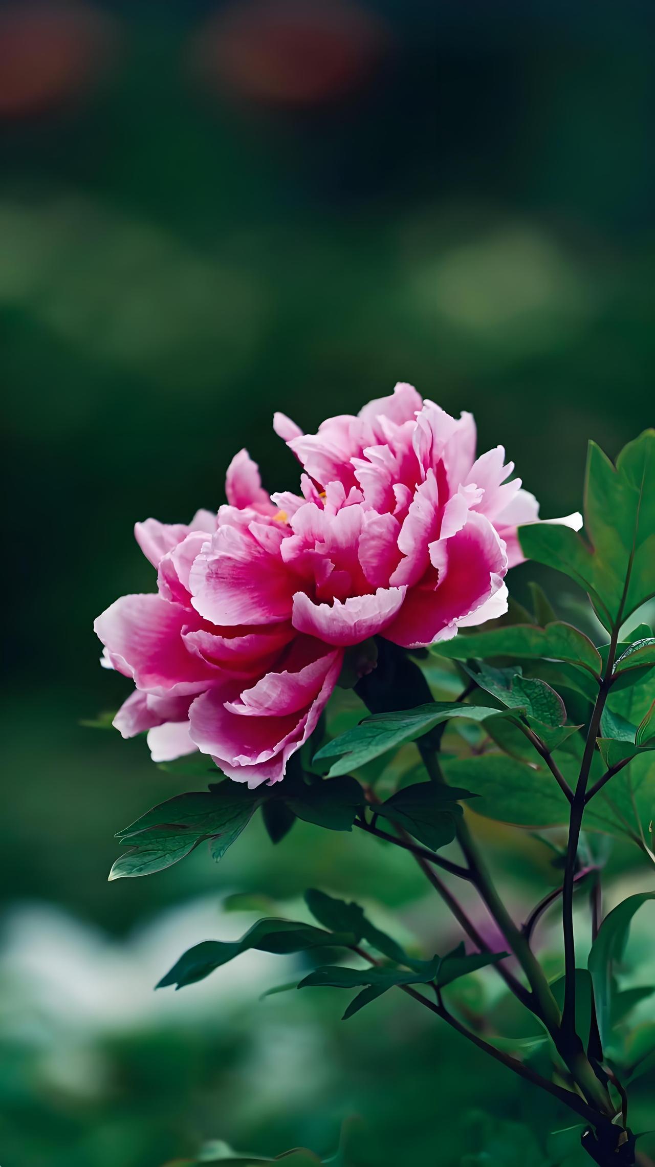 过度焦虑就像一团乱麻，越想解开越纠结。之前压力大到每晚失眠，焦虑得不行。后来我发