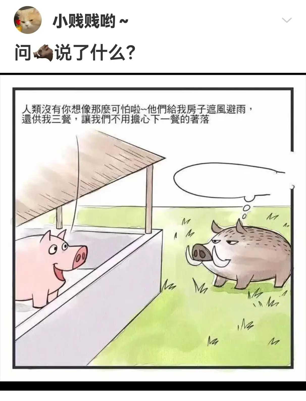 问说了什么？