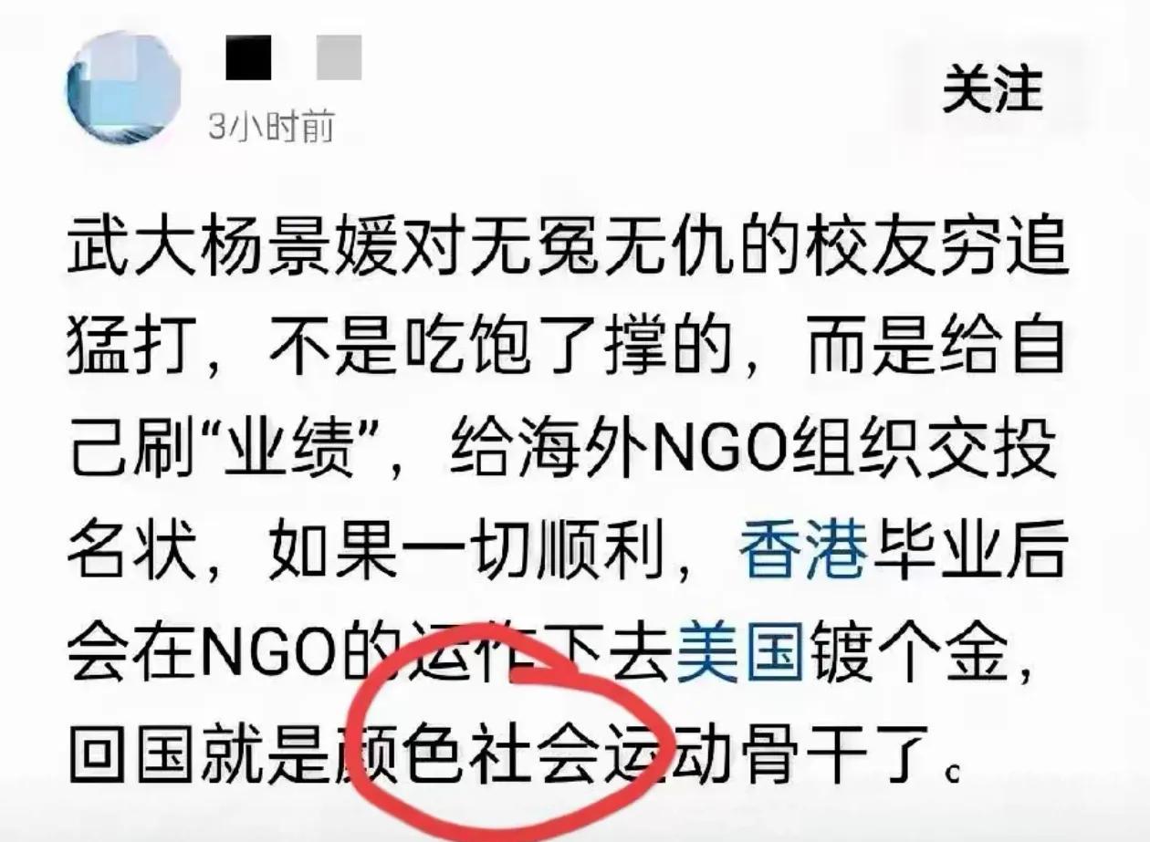 好家伙，向美纳投名状都出来了，给我干一激灵，NGO这么迷人了吗？事关武大，看到