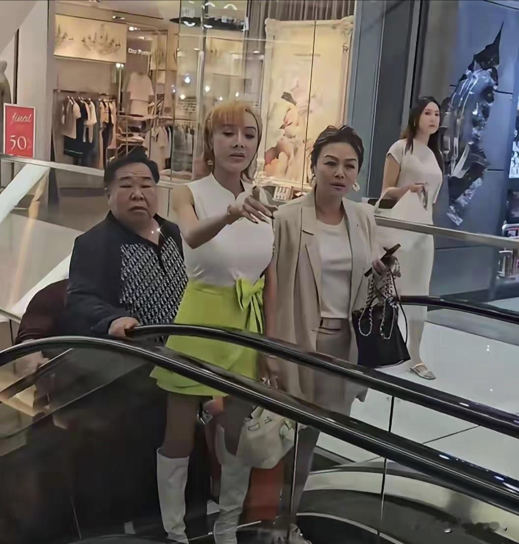 一些网友说叶子楣都这么大年纪了，颜值和身材都严重走样了还复出捞金，我说这些网友大