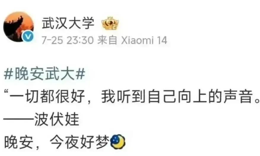 诬告女杨某这么能折腾，原来她的底气是这些打拳者，也明白武大校微为什么要发波伏娃的