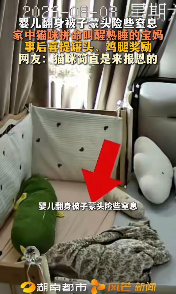 “小猫立大功！”8月8日，山东临沂，一宝宝睡觉时翻身，整床被子直接盖住头部，随时
