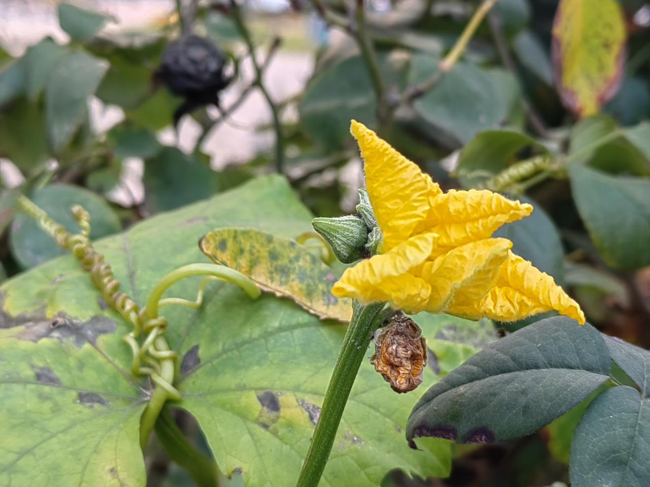 某职校一把手“出事”了，没有被冤枉。但是，曾在一个单位做一把手10年多，从没有