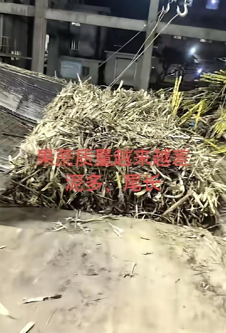耀明糖厂的夹机工，把甘蔗里掺杂的大石头都给扒了出来，放在办公室后面，堆成了一座小