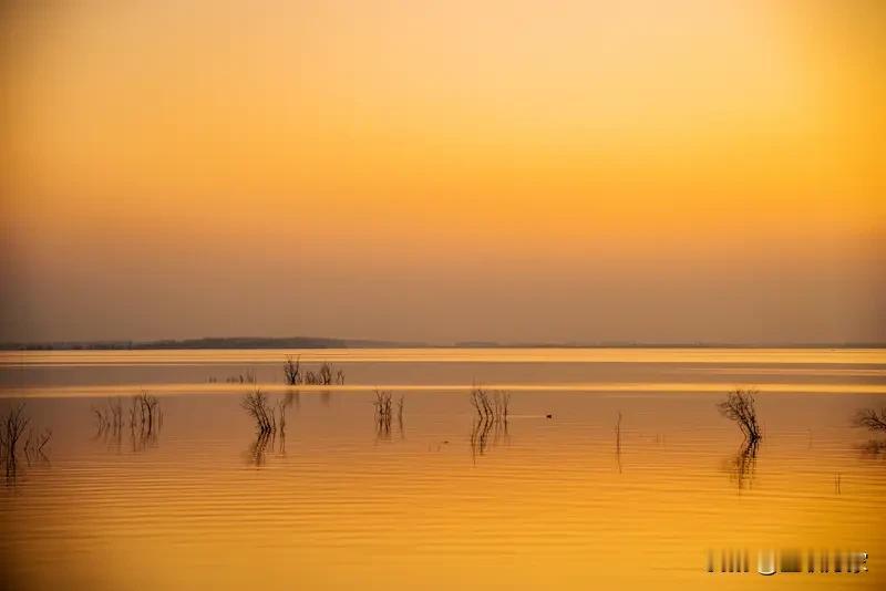 猜猜我在旅途中拍到了怎样一幅绝美的风景？当我按下快门的那一刻，时间仿佛都为这画面