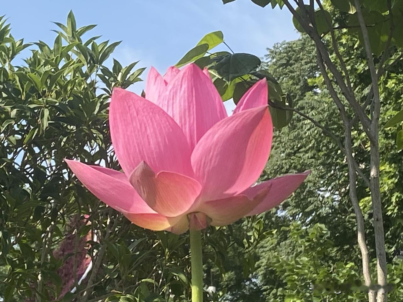 人这一生，别太樊比计较了，你离世了，什么都带不走！这辈子你爱惜的所有东西，全都留