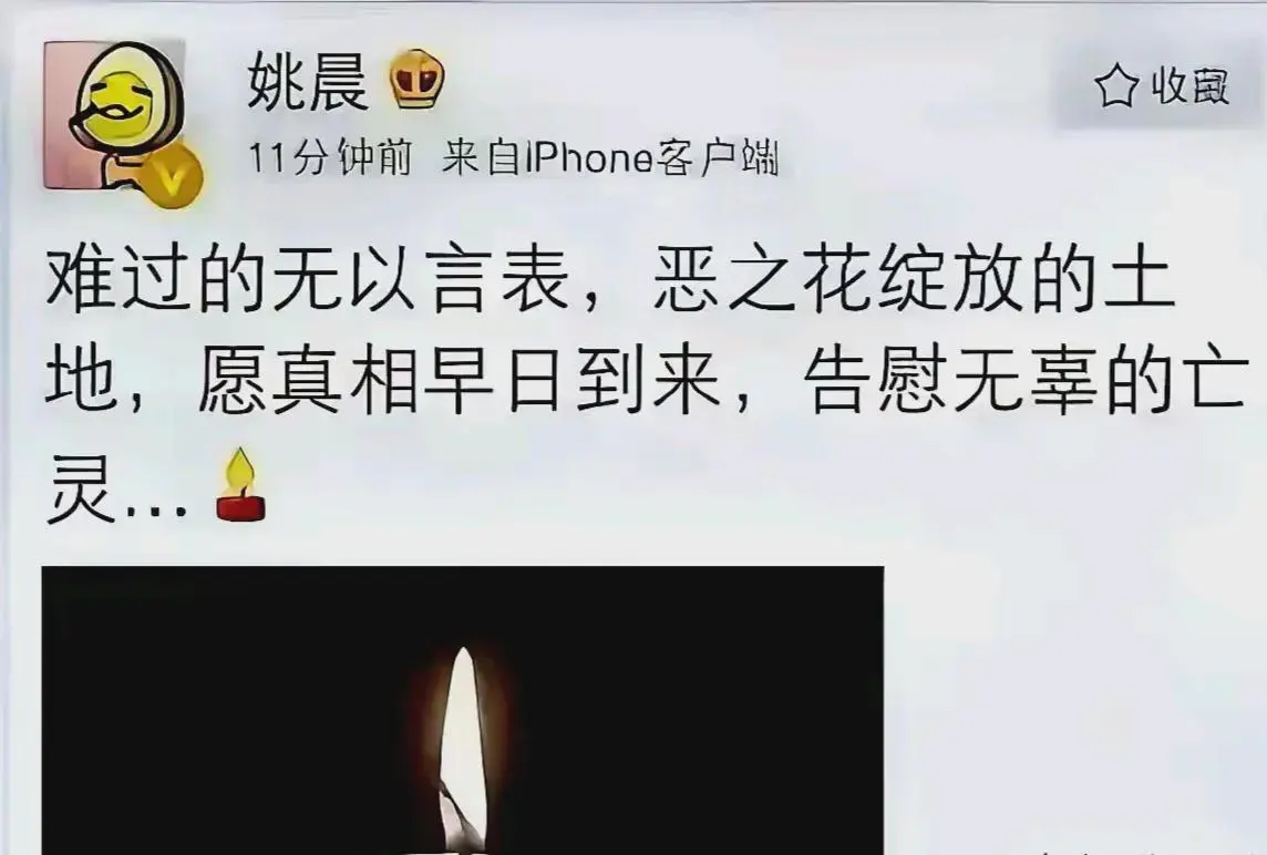 姚晨塌房本来就是正常的事