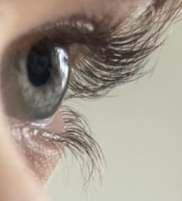 我哥们睫毛长到能碰到眼镜片，每次眨眼都在镜片上留印子。他弟弟更绝——眼睑血管带点