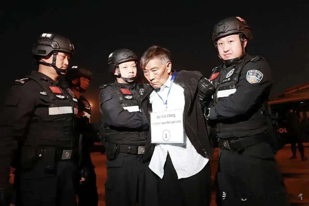 从“四大家族”到全民反诈：如何用“三断政策”斩断跨境犯罪产业链？“白家”案