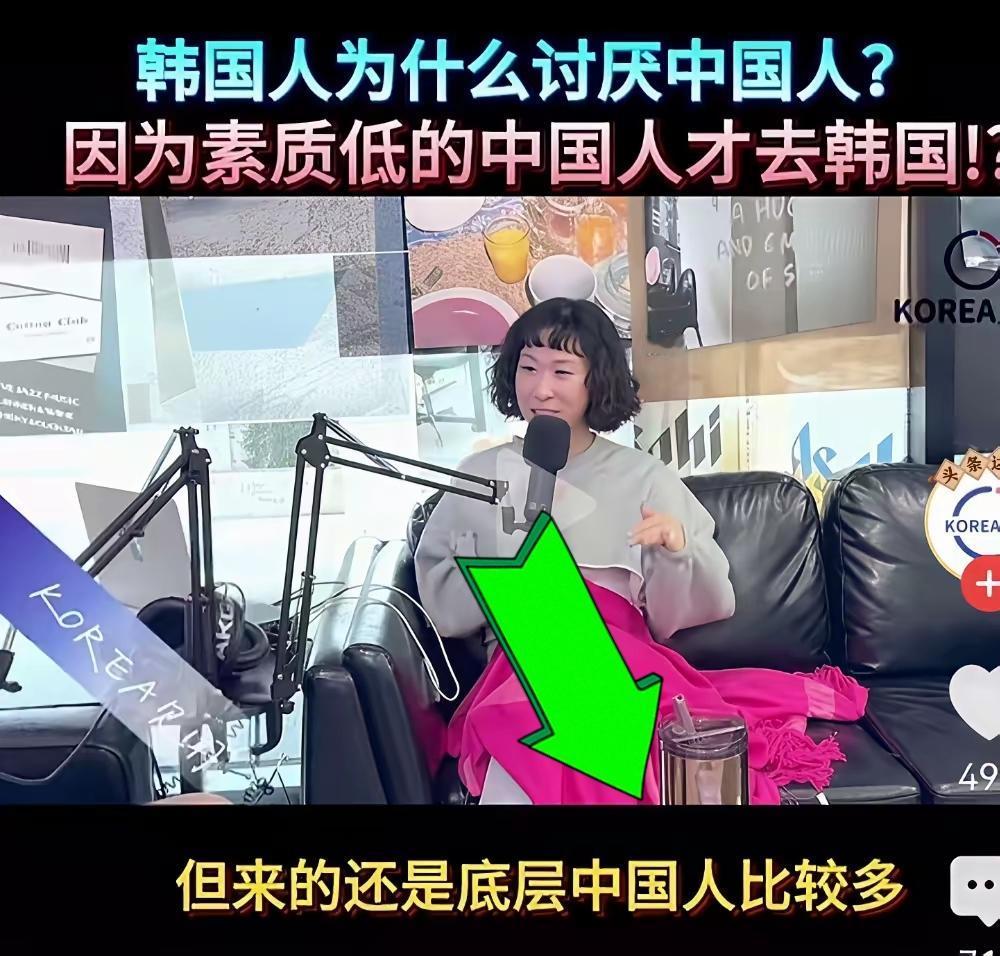 伤害性不大、侮辱性极强！韩国一档节目中，主持人说：来韩国的都是底层的中国人，所以