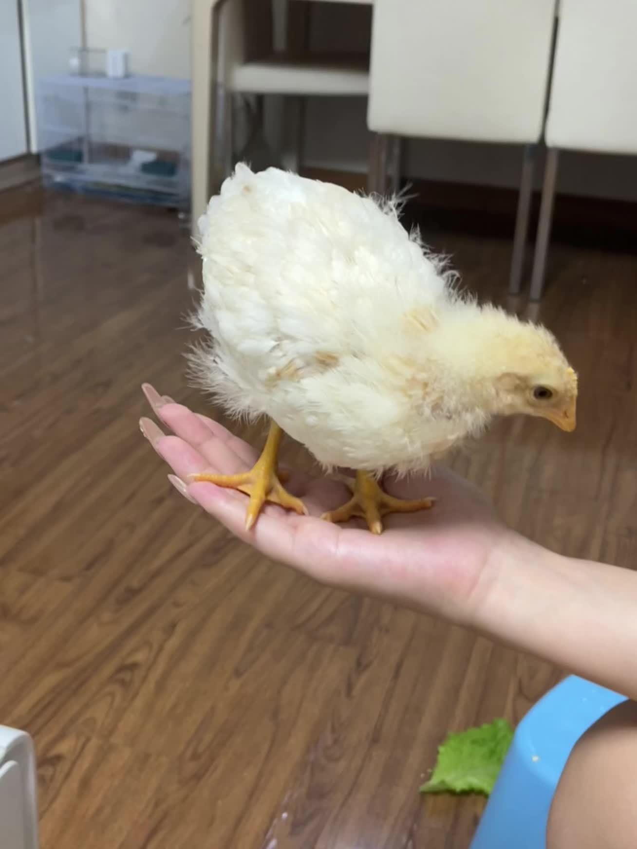 好有成就感