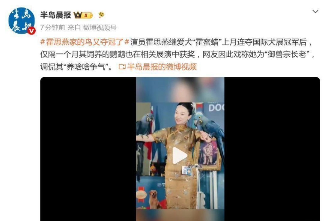 霍思燕家中的鸟又夺冠了，网友：“养啥啥争光”