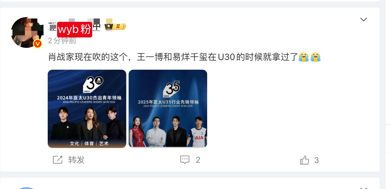 哎，又酸，给mtjj科普一下，行业先锋领袖，跟杰出青年领袖，这俩不在一个