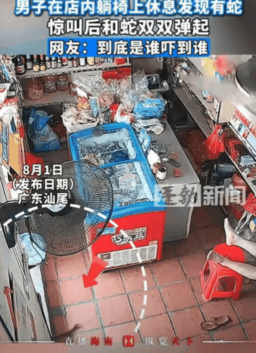 广东有一男子在超市看店，躺在靠椅上休息时，没想到前后晃动之时，男子不经意间看到了