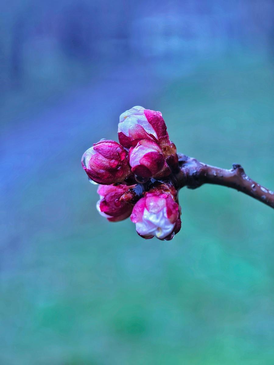 真替我老公难过！在儿子家住，整天傻乎乎的，除了吃饭，接孩子，绕着河转，还不到60