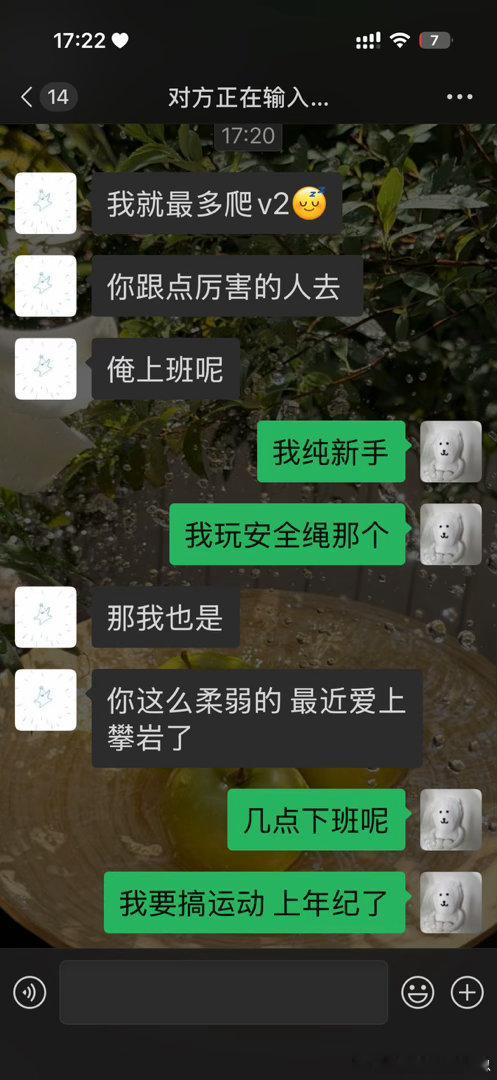 家里乱得不行离家出走一下