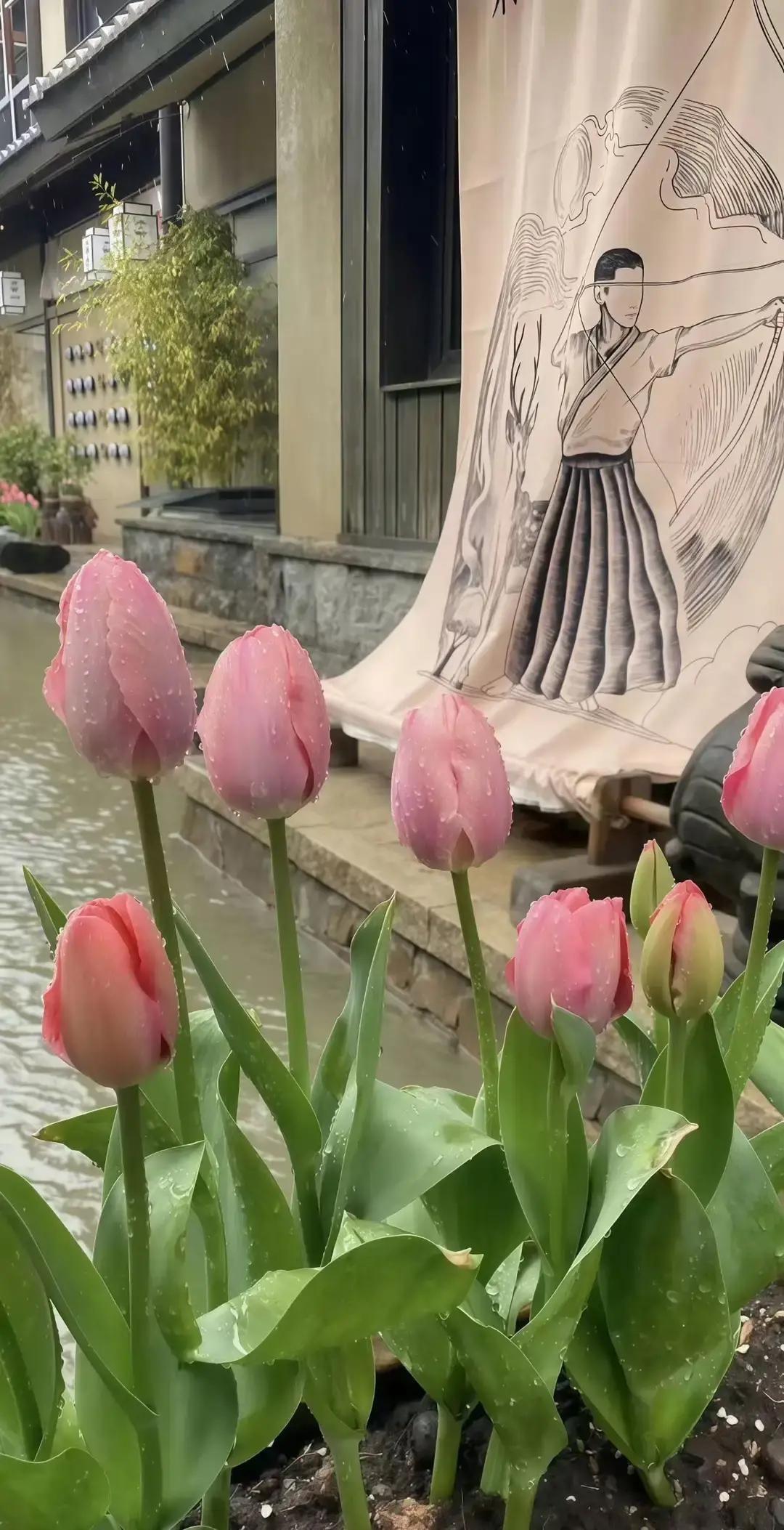 刷到个故事，说一位妈妈查出癌症晚期，直接拉着老公去民政局把婚离了，把两套房子和存