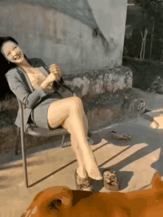 可恶的舔狗[doge]