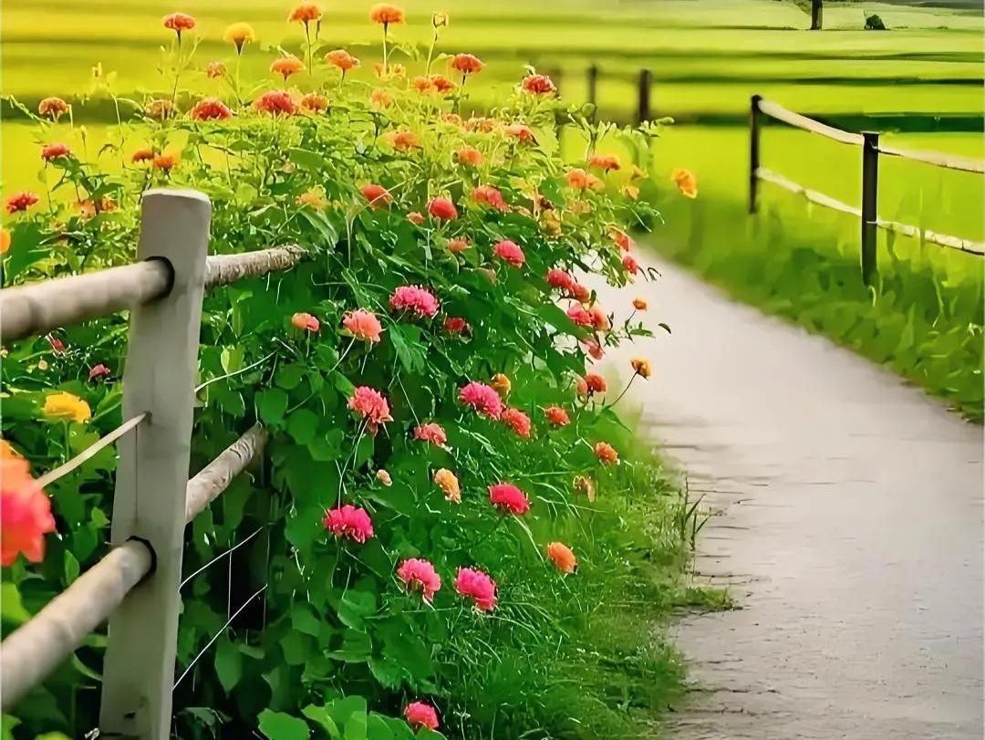 曾仕强先生一段话，分享给你：人的一生有四个定数，是你无法左右。不是靠争就能争来的