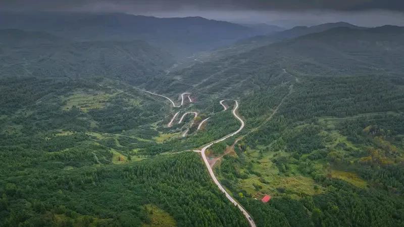 大西北从古至今就是避暑胜地。像宁夏的六盘山国家森林公园，总面积达6.78万公顷，