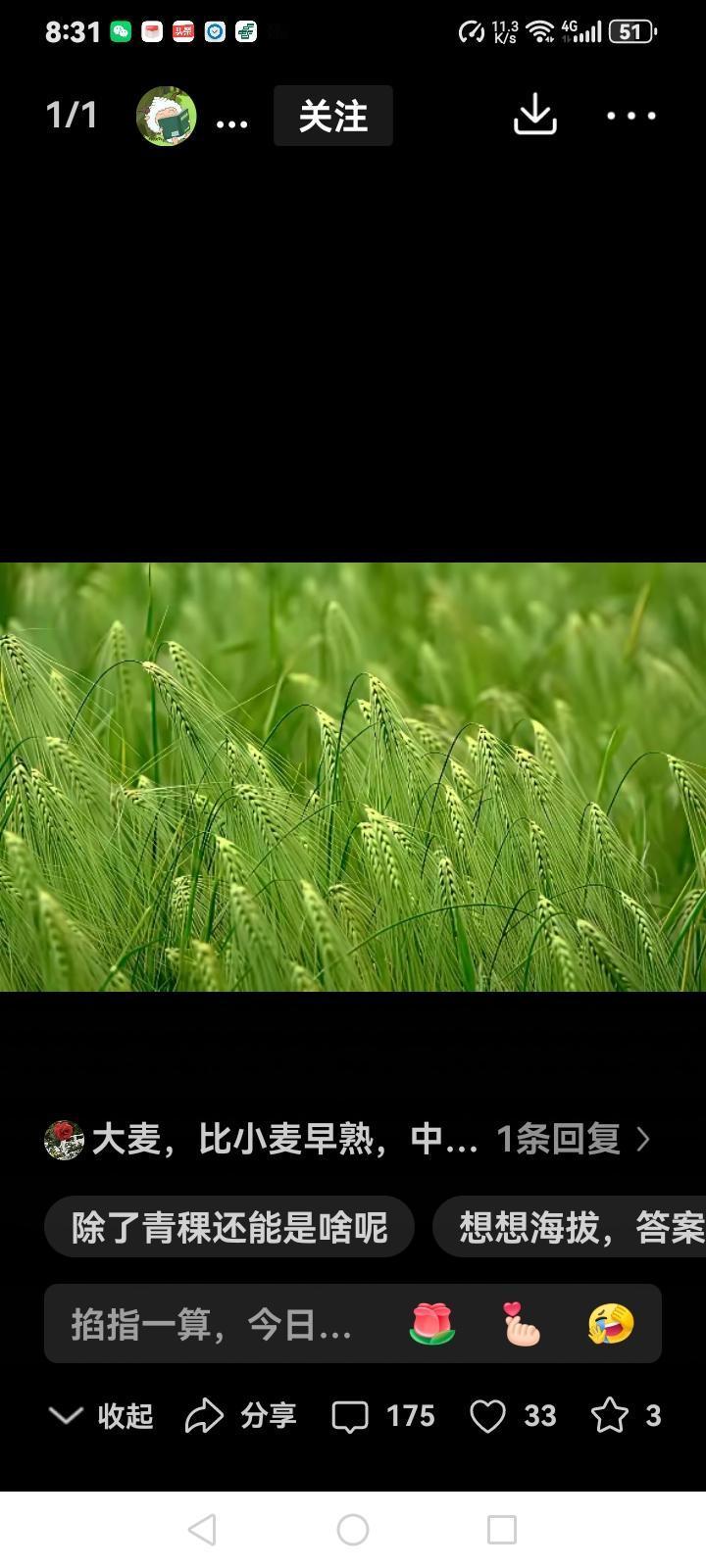 你能猜出西藏主食农作物吗西藏海拔比较高，无霜期短，生长期长的农作物不能在西藏种植