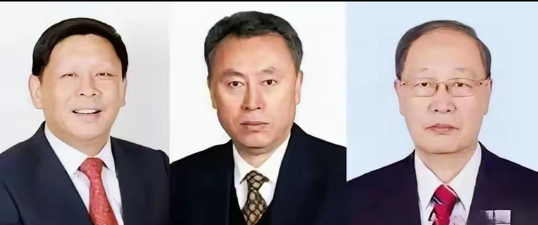 可能不是小事情！一天之内三名军工系统内的院士被除名，这真是不敢让人细想！3月15