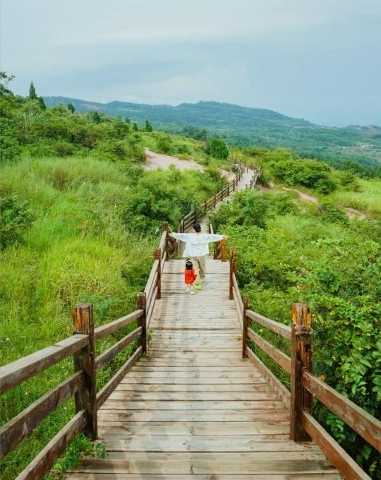 成都1h，漫步山巅，值得N刷的秋日徒步路线。旅游编辑部徒步踏秋地图hell