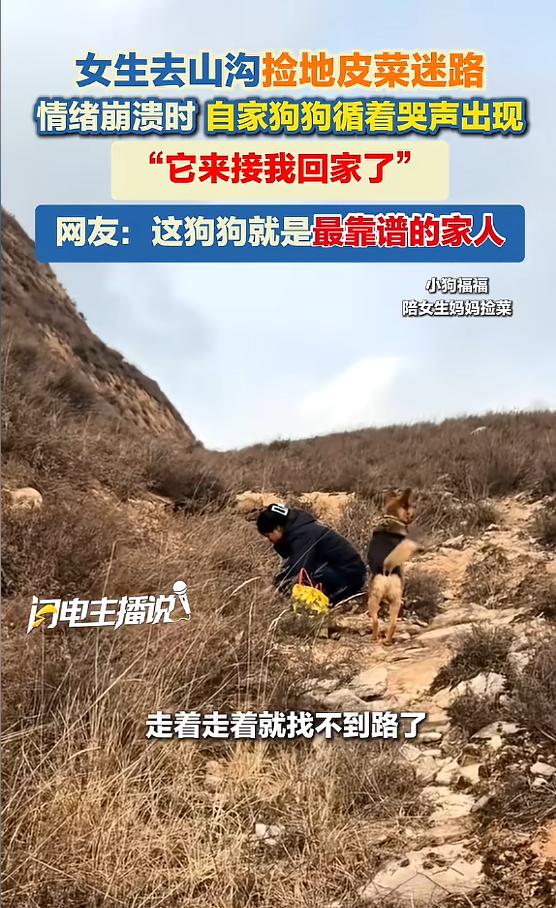 3月6日，山西，一女子去山沟里捡地皮菜，结果迷路了，当时手机也没信号，女子一下慌