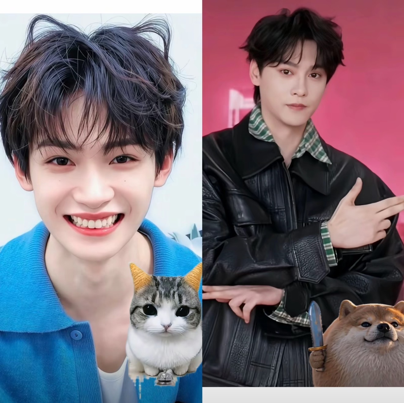 妙脆角猫和刀盾哈哈哈哈哈哈