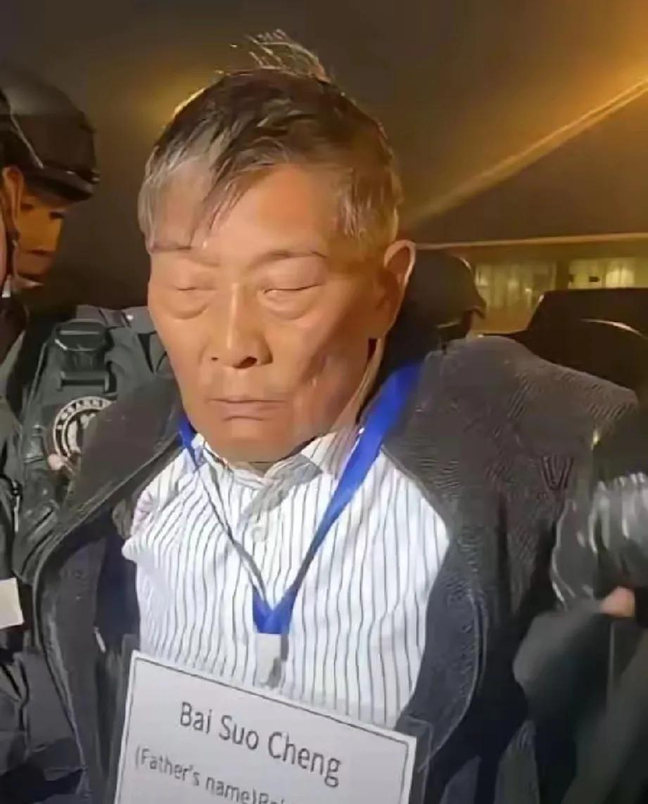 白所成已判死刑，其四女白应香、白应兰、白应萍、白应改的末日也近在眼前！曾经，她们