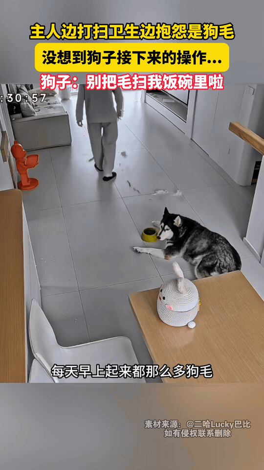这狗也太聪明了！浙江有个大姐，本来就不太喜欢老公养的狗，每天早上起来扫地，地上全
