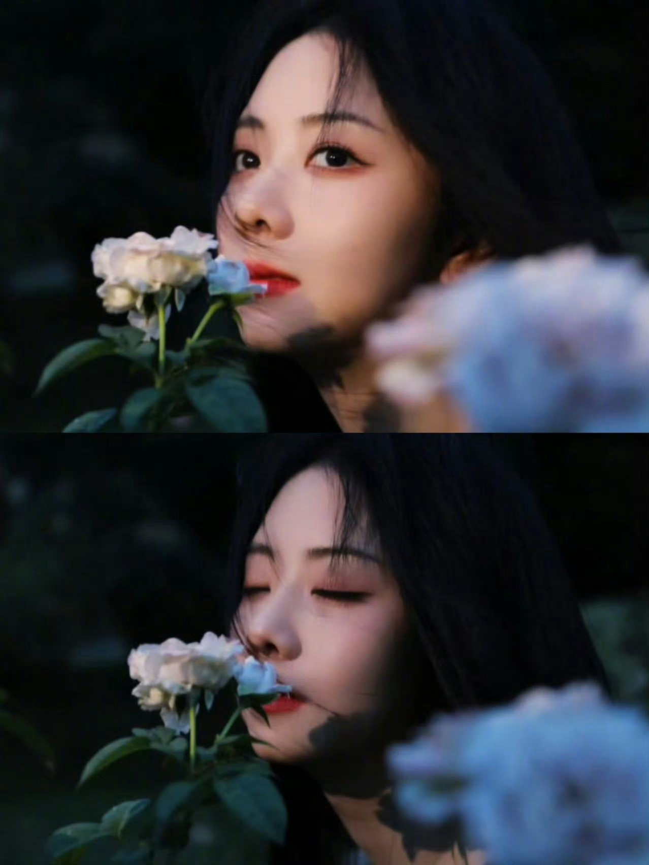 谭松韵吻花谭松韵吻花美成这样谭松韵吻花太绝了，每一帧都很美​​​