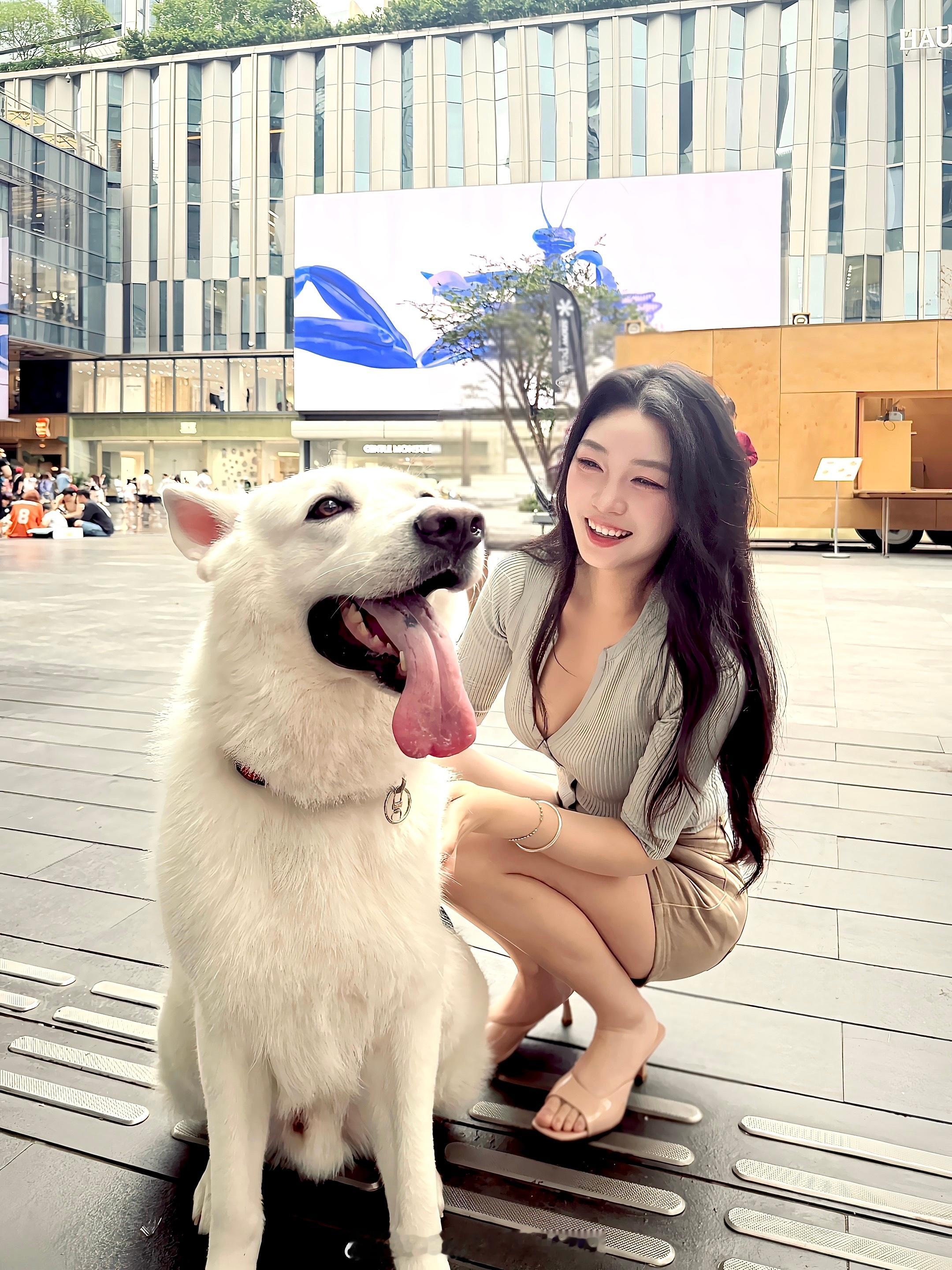 爱小狗小狗从不说谎小狗喜欢人类