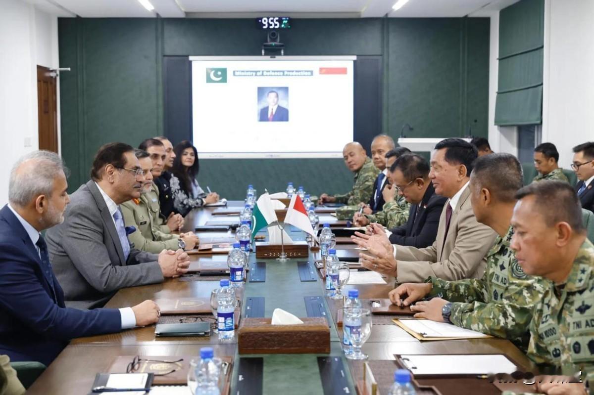 巴基斯坦抢中国生意？印尼想买40架枭龙，歼10战机或出局。在美西方的压力下，印尼