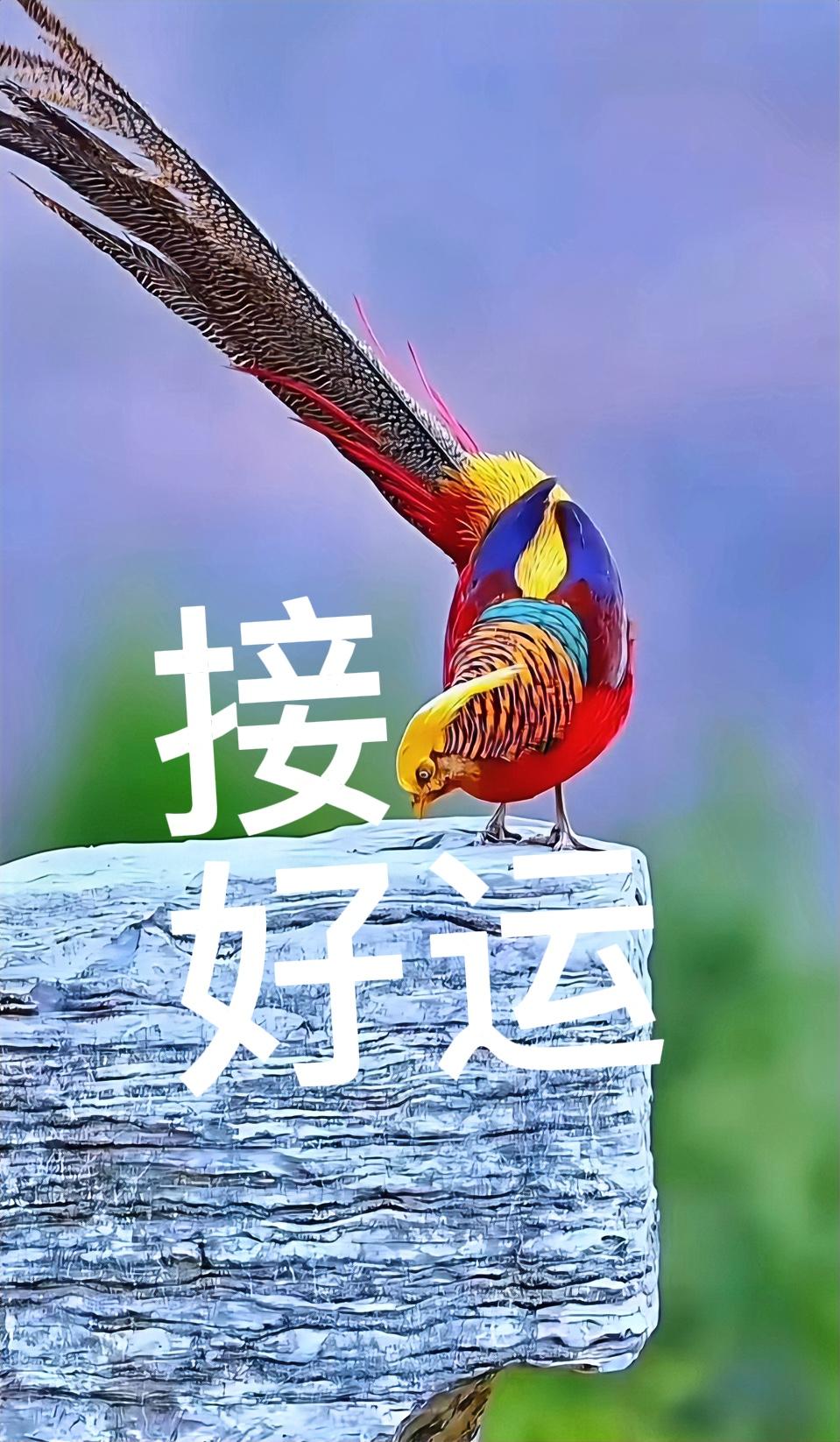 处女座♍️影响增大，口碑变好，不被牵制……巨蟹座♋️矛盾减少，信心倍增，自立