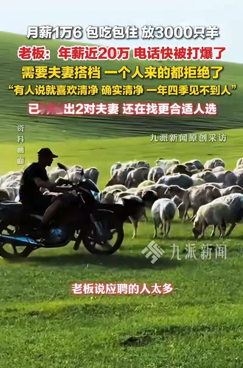 现在的人越来越聪明了[呲牙笑]！内蒙古，一牧场老板月薪16000元招聘放羊夫妻。管