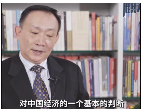 卢麒元直言不讳地指出，“十五五”规划中，有人正借学术外衣、英文期刊包装，把曾在拉