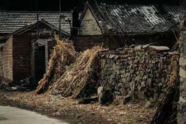 那年父亲生病，村里有人办喜事，母亲不许我们出门，后来有人来找锣鼓声隔着土墙往