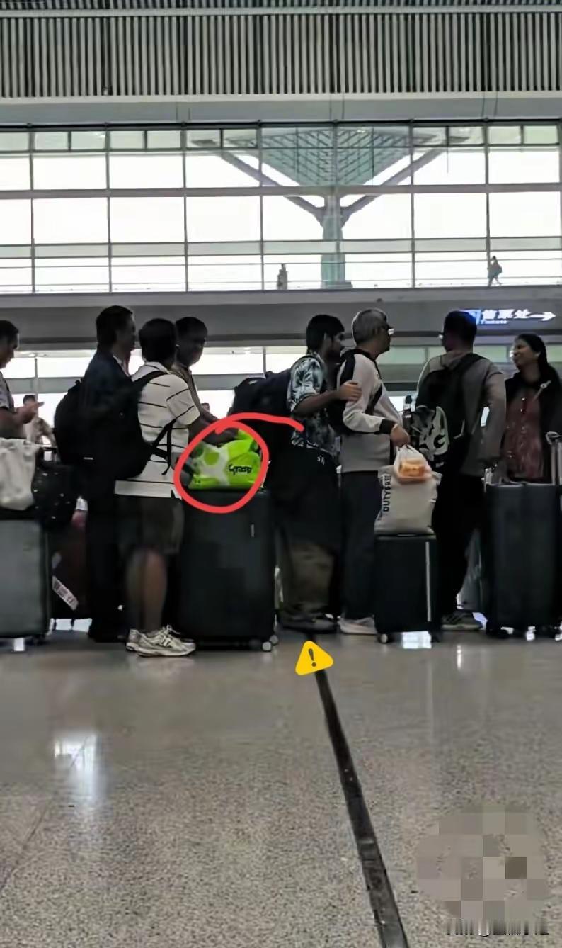 一觉醒来，他们要坐不住了看到这个消息真的太开心了深圳通报20多人假员工假社保