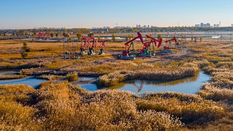 国运自有它的护法日本当年在东北疯狂找油，打井像在筛沙子一样，一口接一口地往下钻