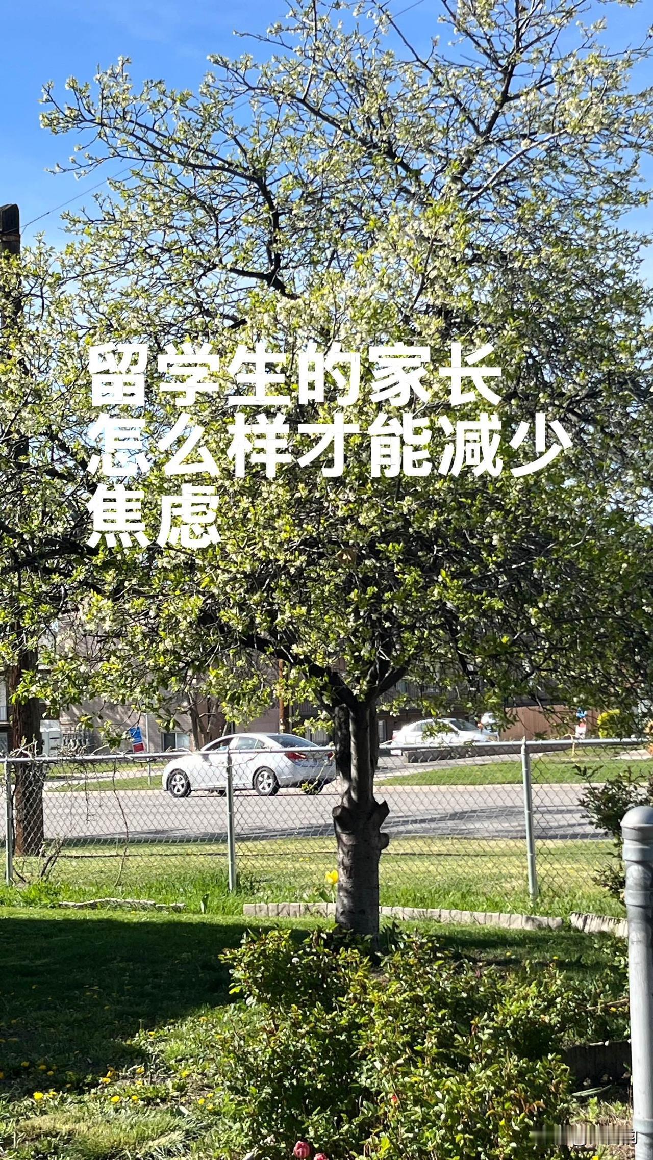 留学生的家长怎样才能减少焦虑？孩子一出国，最焦虑的常常不是孩子，是家长。家