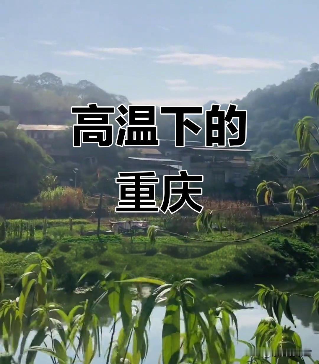 全网最糟心的夏天，绝对非重庆莫属！不是暴晒，是无休止焖蒸要说全国夏天最熬人