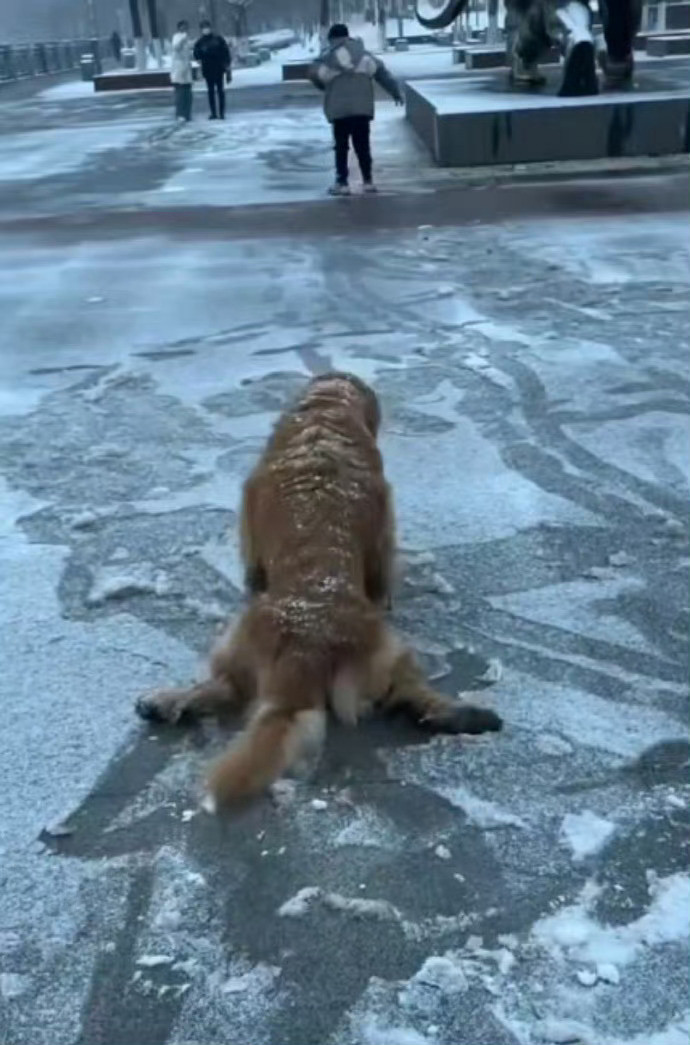 省考就是在淘汰过于较真的人