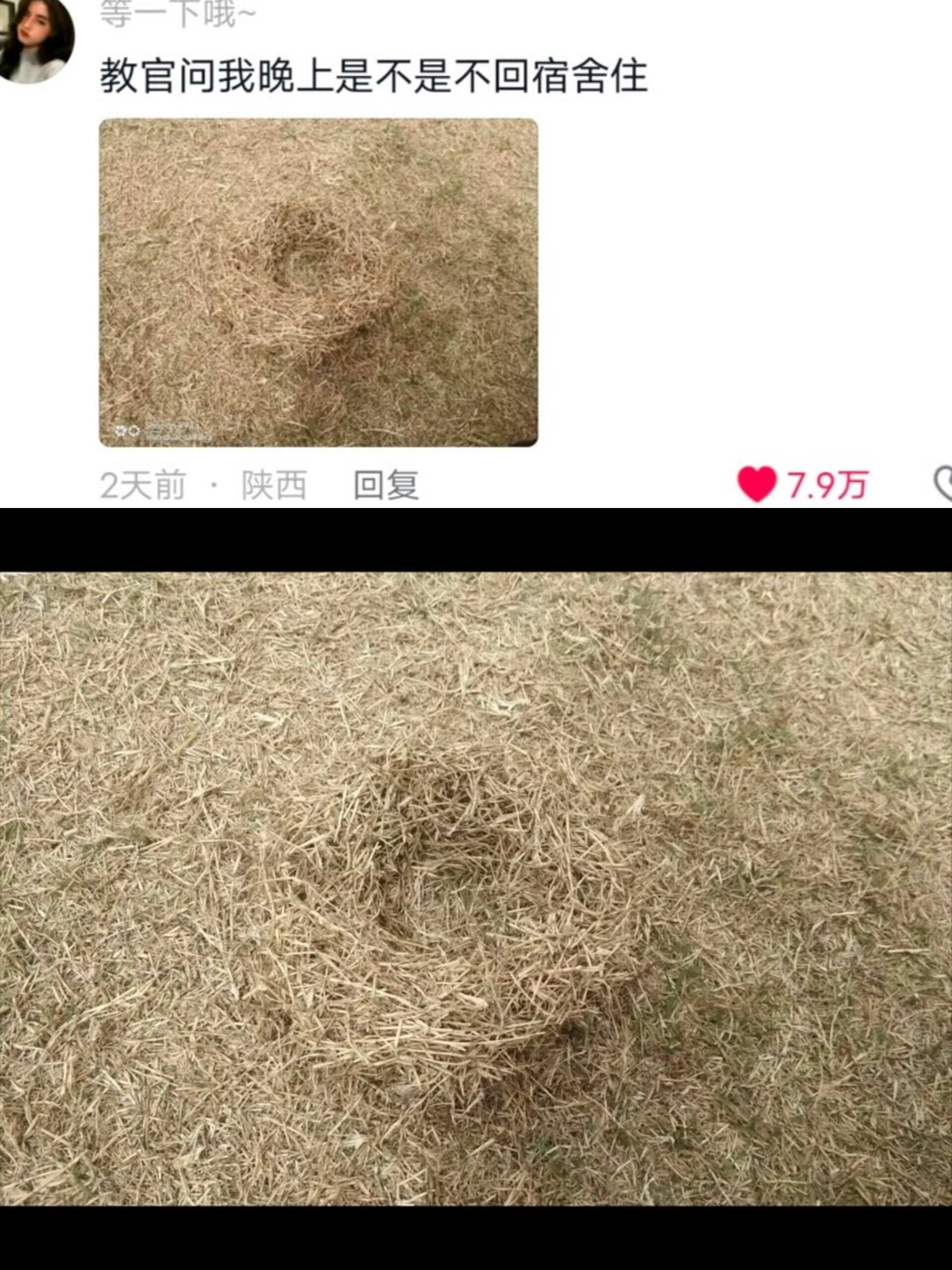 人可以无聊到什么程度