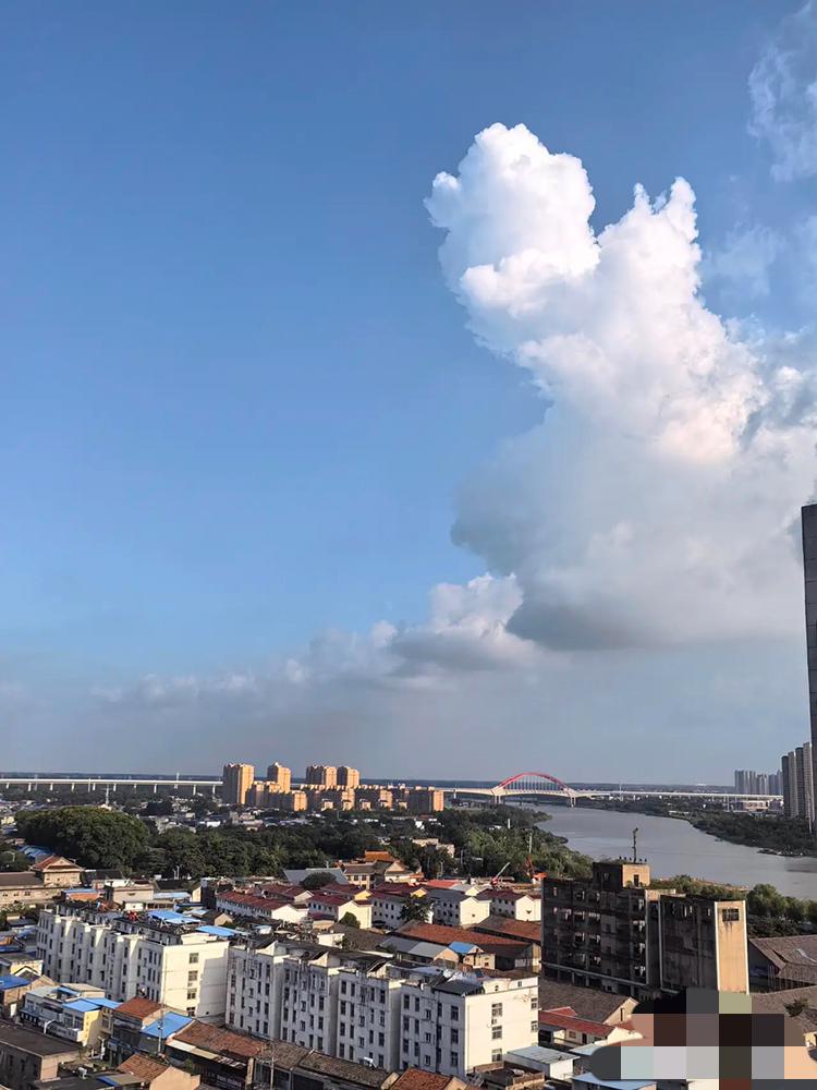 现在的孩子到底怎么了？邻居家刚上高一的男孩，军训才第二天就坚决不肯再去。说太阳底