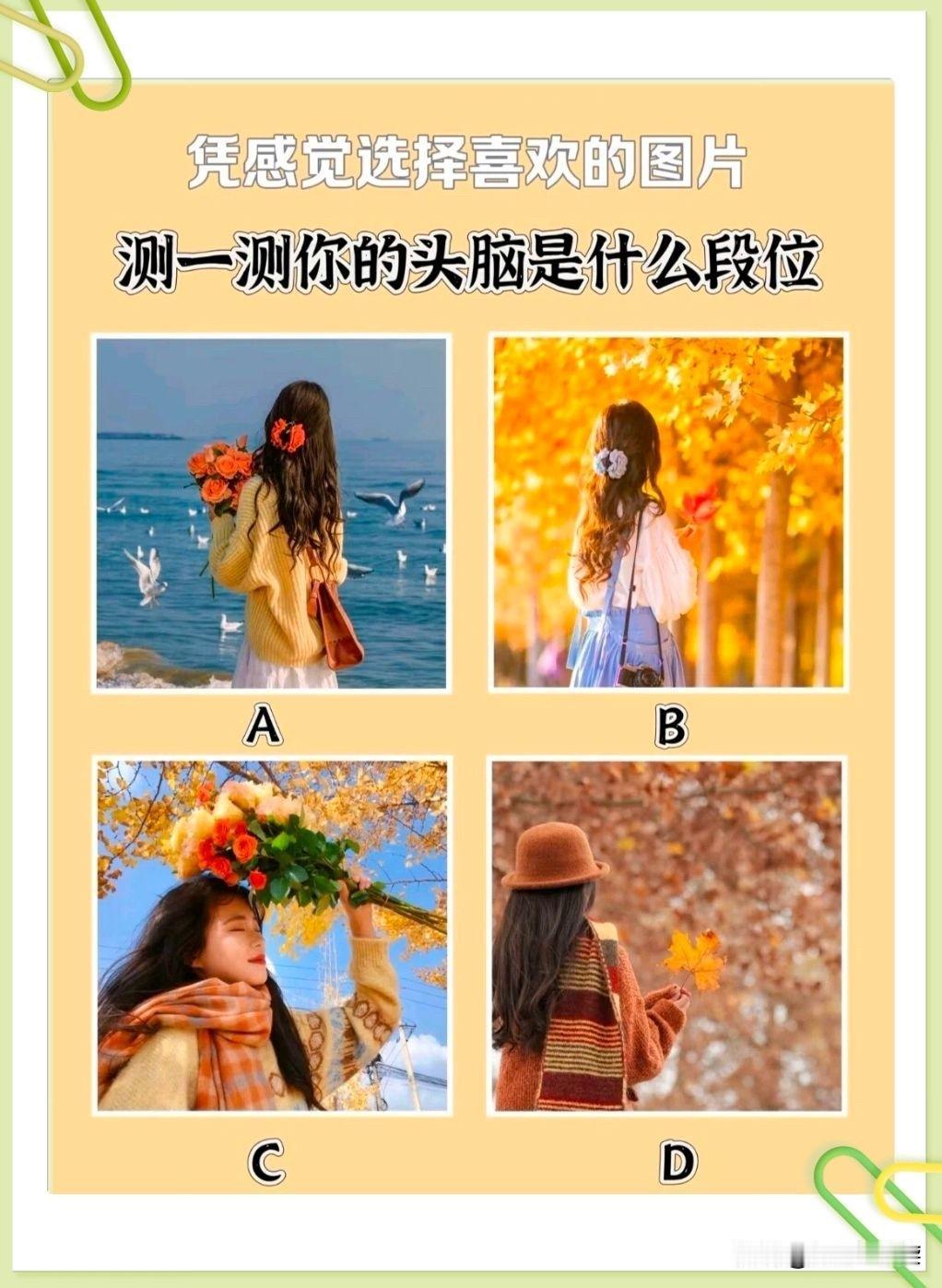 千里共明月凭感觉选择喜欢的图片测一测你的头脑是什么段位