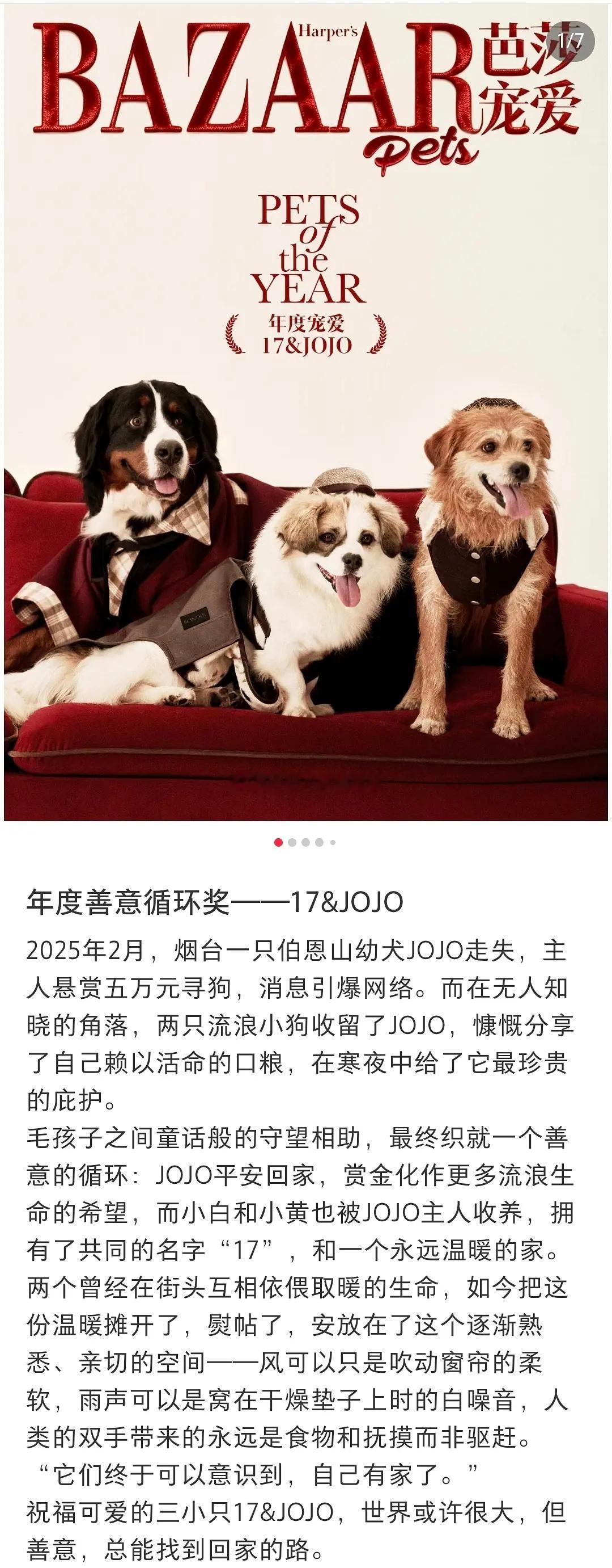 明星水奖不屑一顾，猫狗颁奖细细品味，每一个宝贝都可以说是——实至名归！！