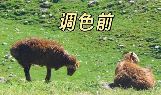 很多风景照片拍回来的第一眼，其实并不差。问题往往出在第二眼：天空挺蓝，草地也够绿