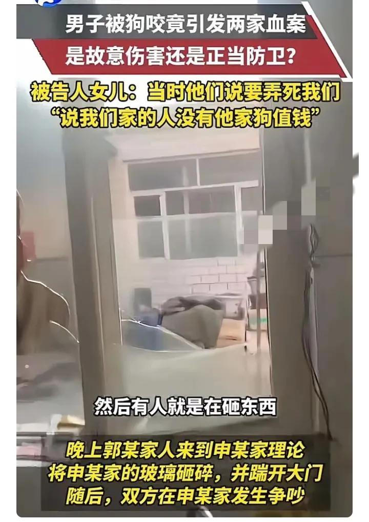 一条狗两条命！这起惨案哪是“意外”，分明是层层失守酿的祸！别光骂狗凶，狗不