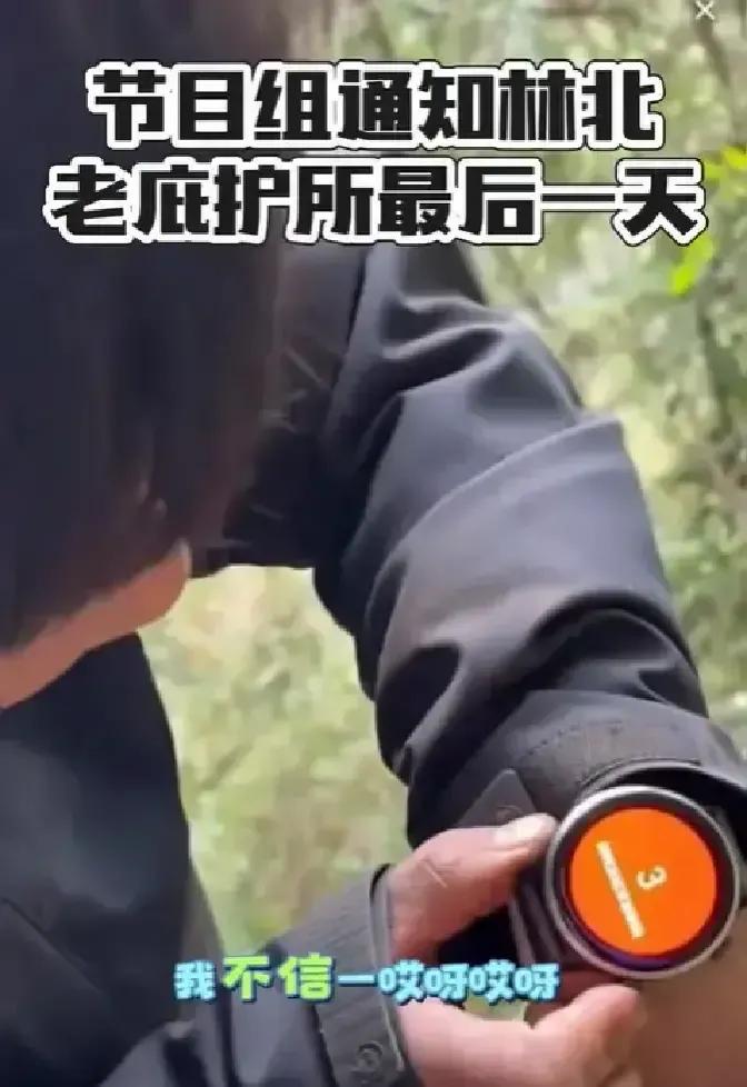 林北把自建土屋和三天砍的柴火全留给队友，自己拎包走人。节目规则说只能留一处庇护